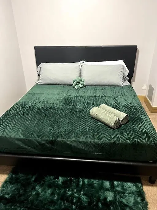דירה סנט לואיס Serene Living Downtown Stl Loft